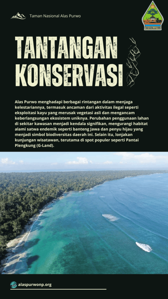 Pantai Plengkung - Tantangan dalam Konservasi Taman Nasional Alas Purwo
