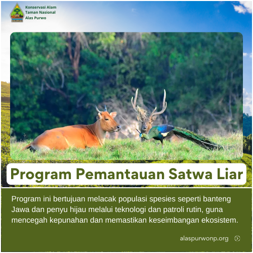 Program Pemantauan Satwa Liar Alas Purwo