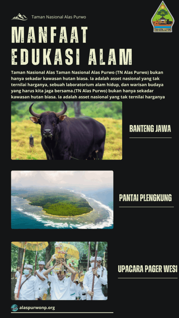 Mengapa Edukasi Konservasi Taman Nasional Alas Purwo Sangat Penting?