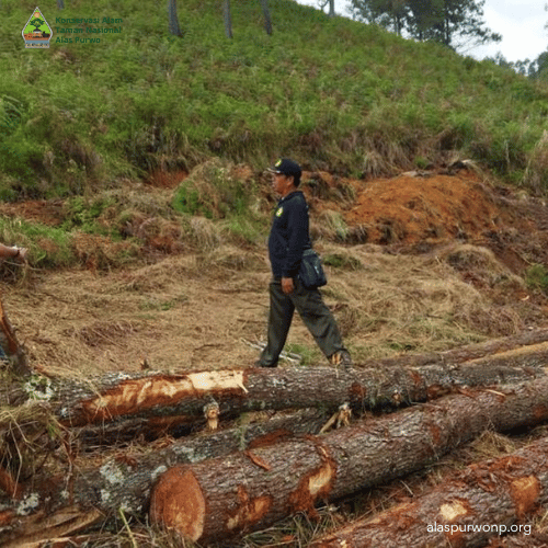 Perlindungan Kawasan Alas Purwo