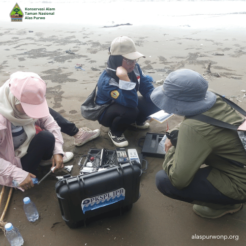 Rehabilitasi Ekosistem