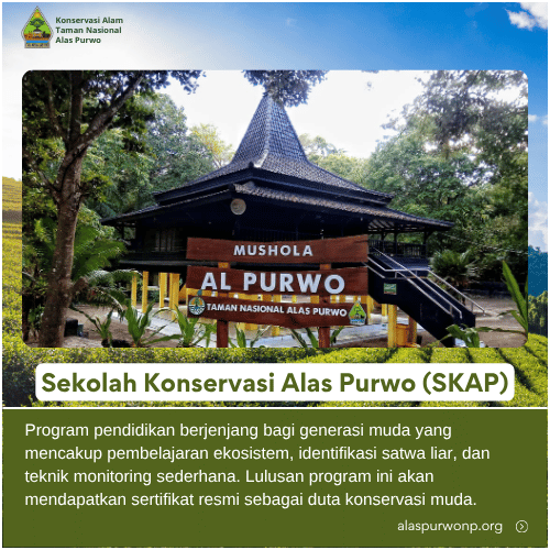 Sekolah Konservasi Alas Purwo (SKAP)