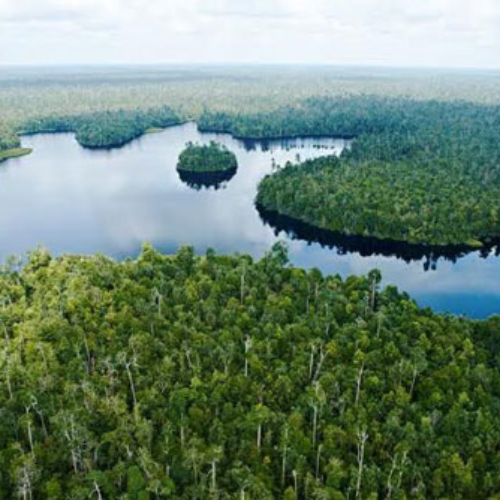 TAMAN NASIONAL ZAMRUD